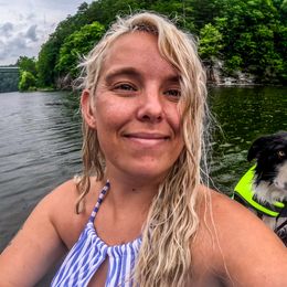 Border Collie Puppies from Cullins Collies