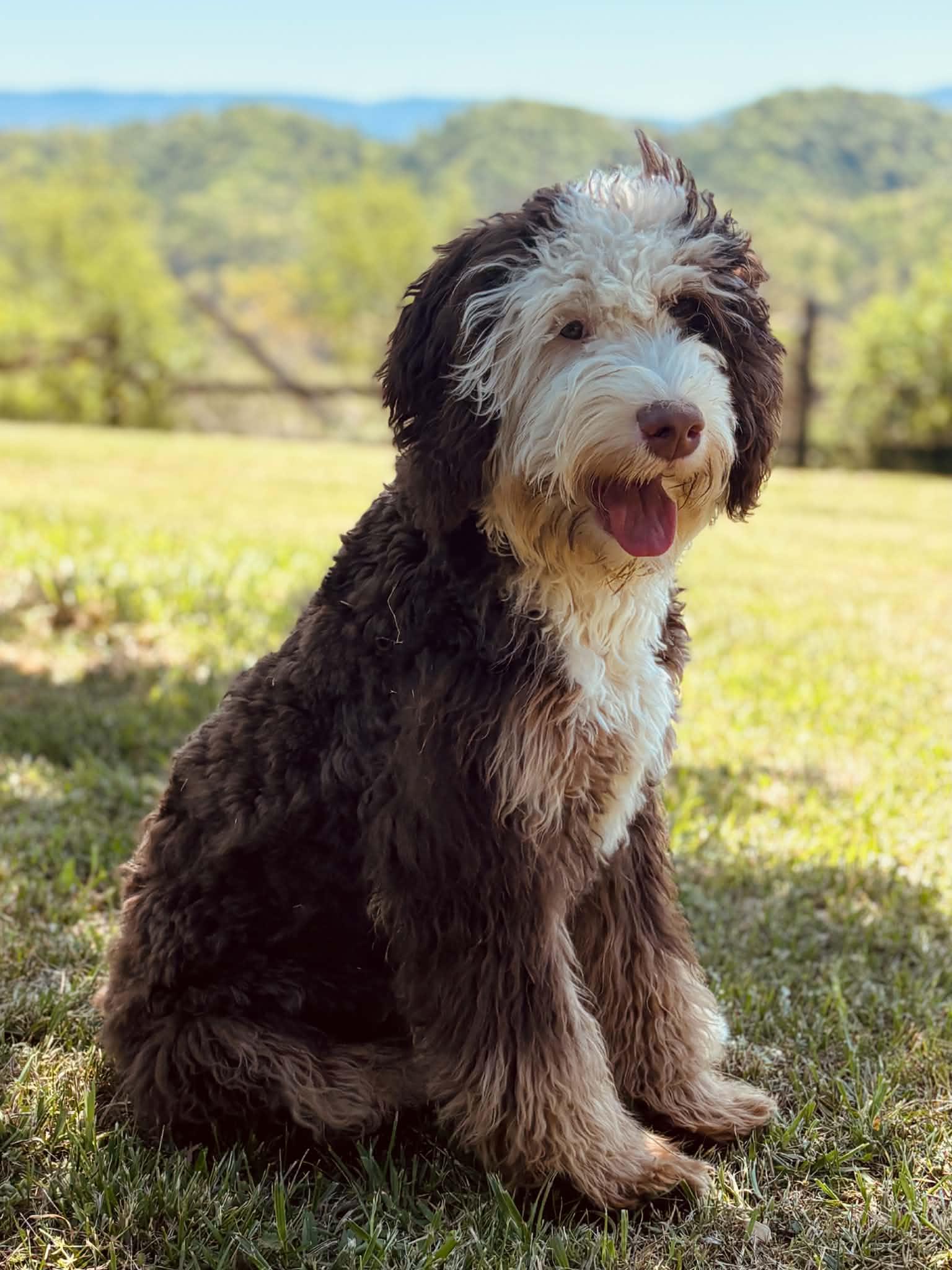 Nash
