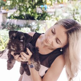 Miniature Schnauzer Puppies from Los Angeles Miniature Schnauzers