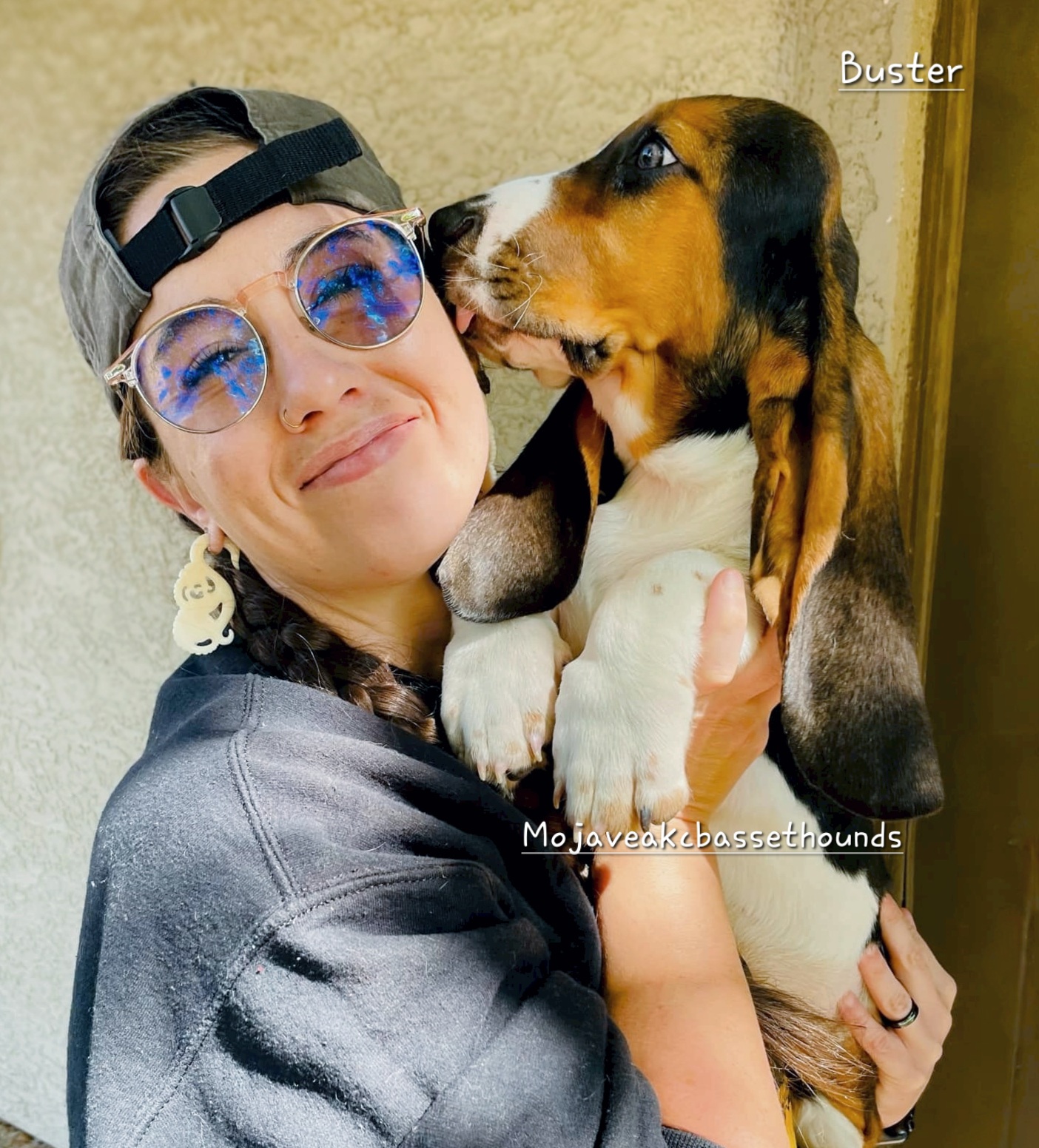 Buster - Basset Hound puppy from Mojave AKC Basset Hounds