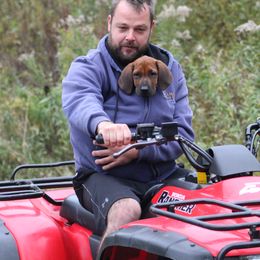 Rhodesian Ridgeback Puppies from Supernova Ridgebacks