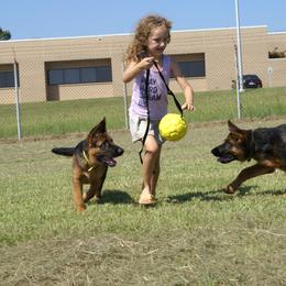 German Shepherd Puppies from Rikah-Haus German Shepherds