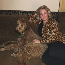 Molly - Goldendoodle