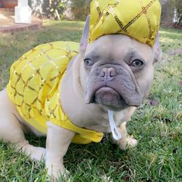 French Bulldogs from Lulu’s Frenchies