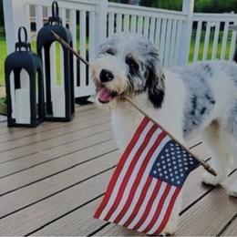 Bernedoodle, Bernese Mountain Dog, and Poodle Puppies from Bubbling Springs Doodles, LLC