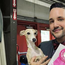 Italian Greyhounds from Envy Italian Greyhounds
