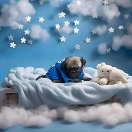 Pug Puppies from Precious Paws