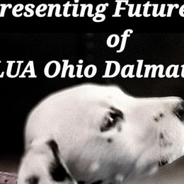 Girl 5 - White and black Dalmatian puppy in Sidney, Ohio from LUA Ohio Dalmatians