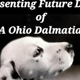 Girl 5 - White and black Dalmatian puppy in Sidney, Ohio from LUA Ohio Dalmatians