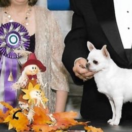 Chihuahuas from Lo's Chihuahuas