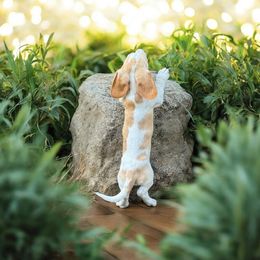 Chihuahua and Dachshund Puppies from Little Pawz, LLC