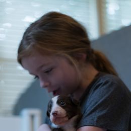 Border Collie Puppies from Air Capital Border Collies