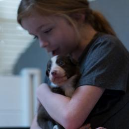 Border Collie Puppies from Air Capital Border Collies