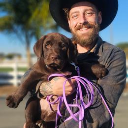 Labrador Retriever Puppies from Eternity Labradors