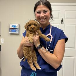 Peaches - Caramel female Australian Labradoodle puppy in Decatur, Alabama from Southern Meadows Doodles