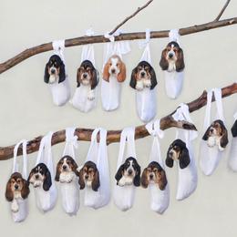Basset Hounds from Triple Hill Farm