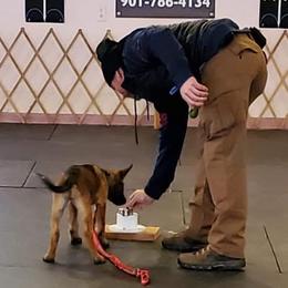 Belgian Malinois Puppies from Christina Potts Potts