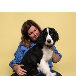 Huckleberry - English Springer Spaniel