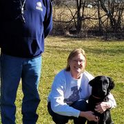 Flat-Coated Retrievers from Kingsbridge Flat-Coated Retrievers