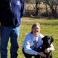 Flat-Coated Retrievers from Kingsbridge Flat-Coated Retrievers