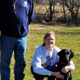 Flat-Coated Retrievers from Kingsbridge Flat-Coated Retrievers