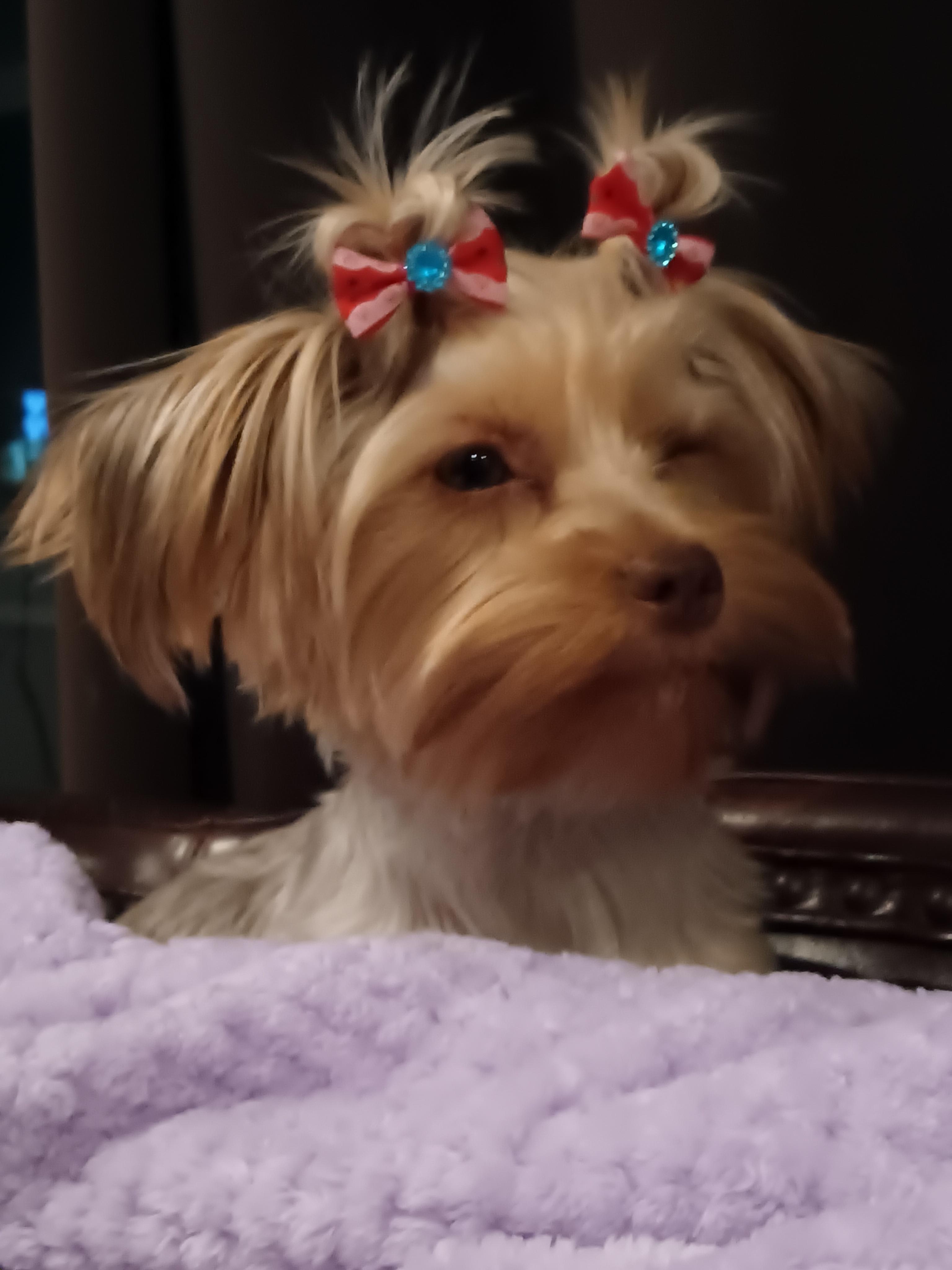 Fancy