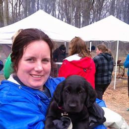 American Hairless Terrier and Flat-Coated Retriever Puppies from Rensai Kennels