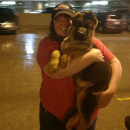 German Shepherd Puppies from Zwinger vom haus Huro