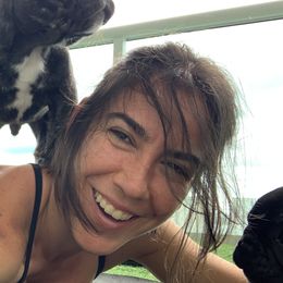 French Bulldog Puppies from Luna and London’s Puppies