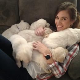 Golden Retriever, Poodle, and Shih Tzu Puppies from Shih Tzu Castle & Platinum Paws
