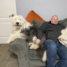 Old English Sheepdog Puppies from Heavinly Blessings Farm Pups - Old English Sheepdog Puppies