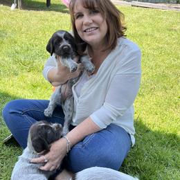 Wirehaired Pointing Griffons from Dutch Ridge Kennels WPG’s