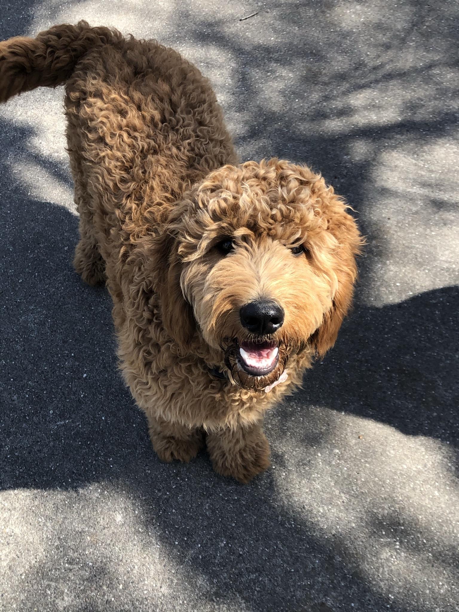 Max