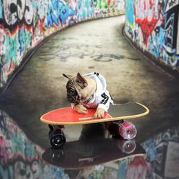 Bulldog and French Bulldog Puppies from AdoraBull Bulldogs