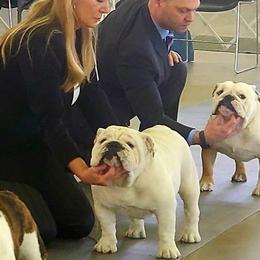 Bulldogs from Beams Bulldogs