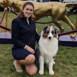 Australian Shepherds and Boston Terriers from PrimaShowDogs