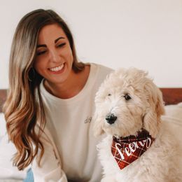 Goldendoodle and Bearded Retriever Puppies from Emma Lee Doodles