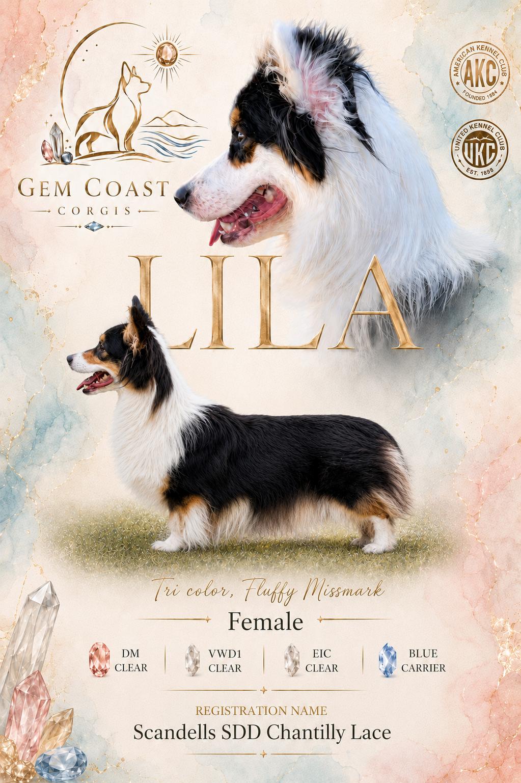 Lila