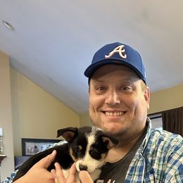 Pembroke Welsh Corgi Puppies from Corgi Love (CLJ Corgis)