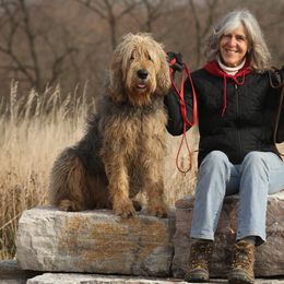 Otterhounds from Riverrun Otterhounds