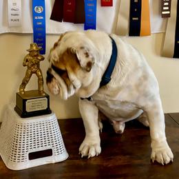 Tanker Too - Bulldog