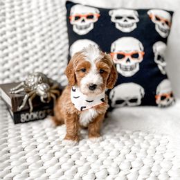 Fester - Red male Bernedoodle puppy in Springville, Utah from Happy Doodle