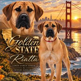 Riatta - Boerboel