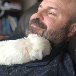 West Highland White Terrier Puppies from CC Leslie’s Westie’s