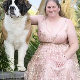 Saint Bernards from Metal Saints
