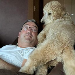 Goldendoodle and Golden Retriever All Grown Up from ZuGolden Retrievers