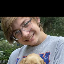 Golden Retriever Puppies from All shades Golden