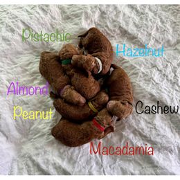 Goldendoodle puppies from Kinzor Kennels