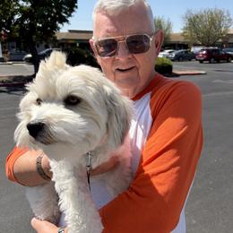 Cotons de Tulear from Gidget Cotons - ACC