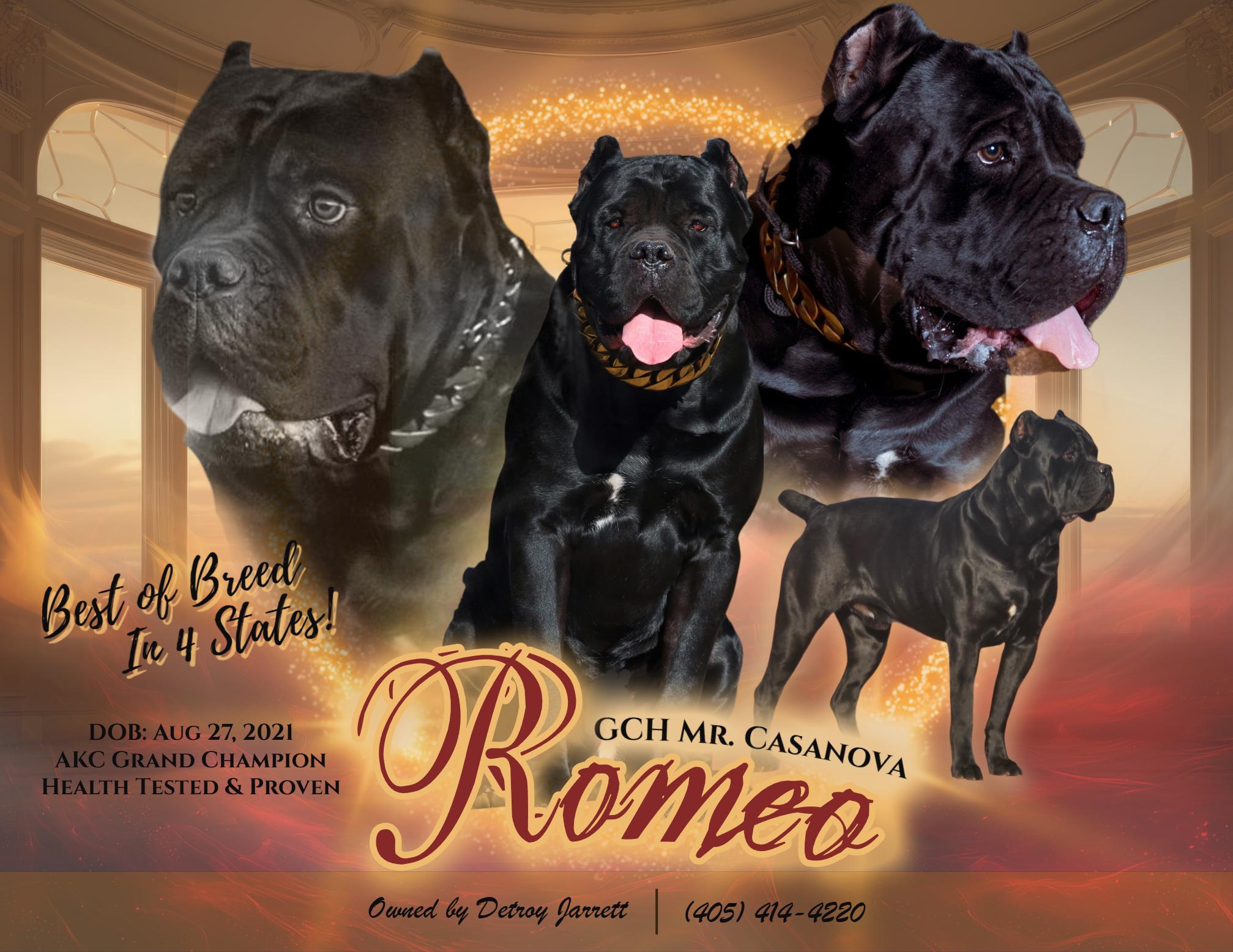 Romeo
